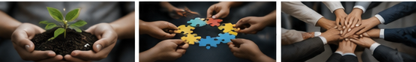 Organizational change and team adoption